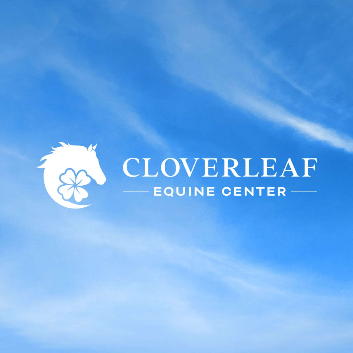 Cloverleaf Homepage Featured Image