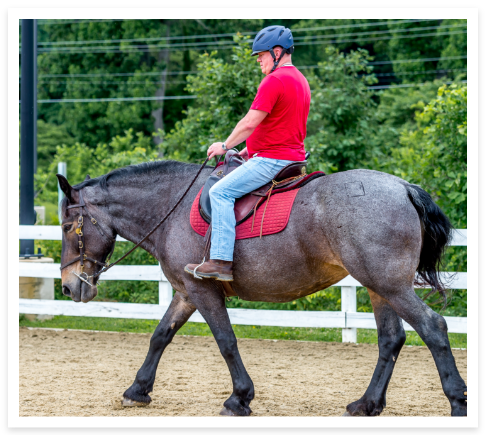 Military Services-Equine assisted services for Service Members