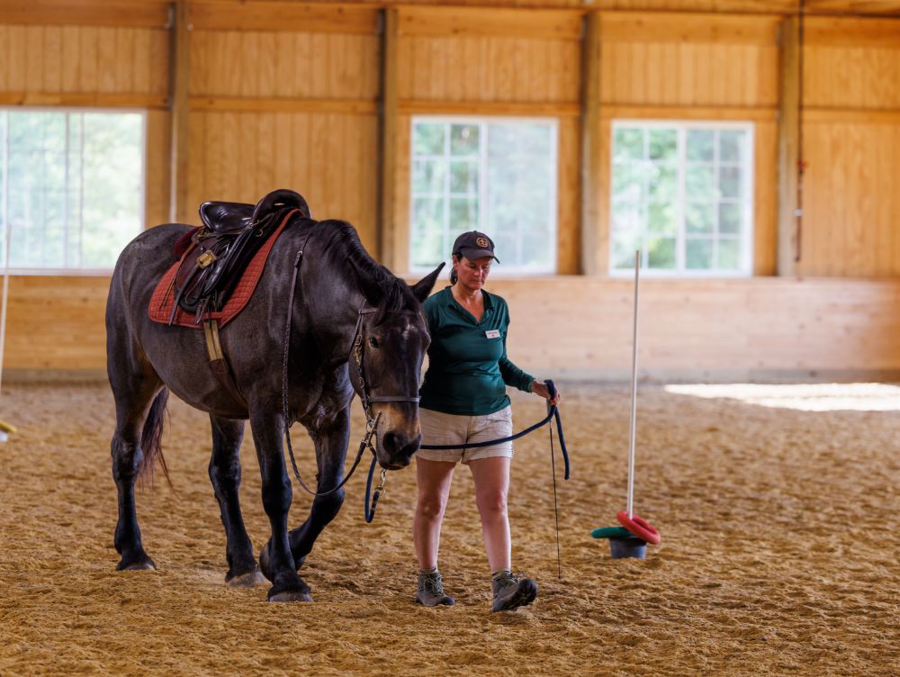 our-facility-trainer-leading-horse